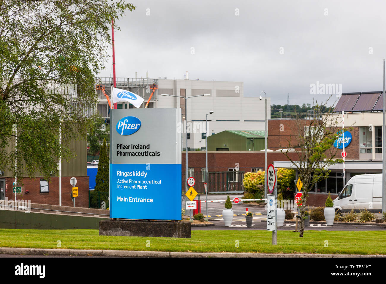 Ringaskiddy, Cork, Irland. 29 Mai, 2019. Pfizer Pharmaceuticals sind in diesem Monat ihren 50. Jahrestag in Irland Kennzeichnung. Die Beschäftigung von gewachsen Stockfoto