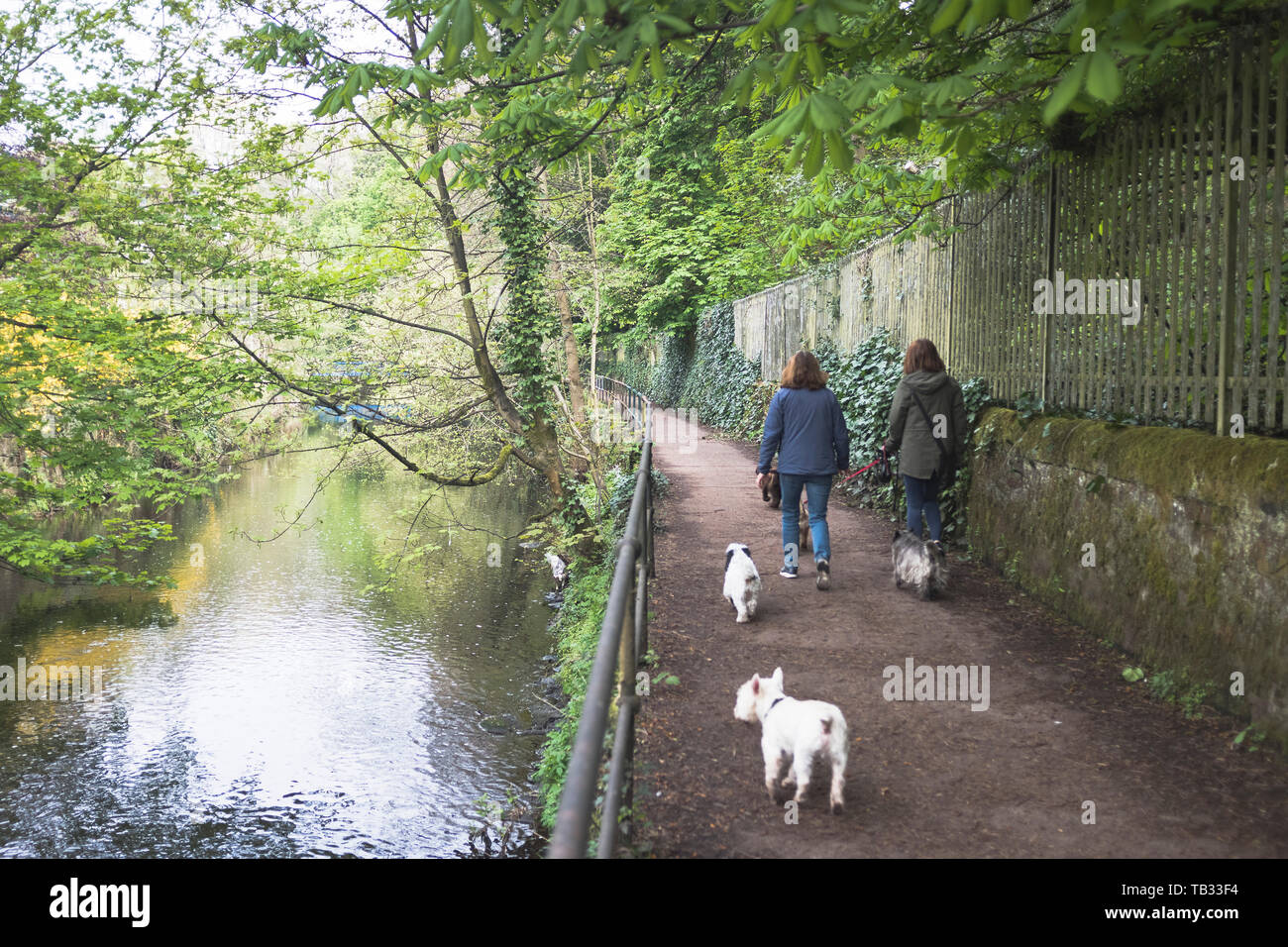 dh Riverside City Walk WASSER VON LEITH EDINBURGH Menschen zu Fuß Hunde entlang Flussweg Gehweg Spaziergänge uk Stockfoto