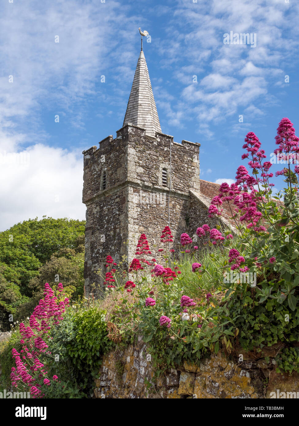 Eine geringe Aussicht auf Rot und Rosa Baldrian wild wachsenden über eine alte mittelalterliche Kirche Seely Memorial Kapelle Friedhof Steinmauer Mottistone Stockfoto