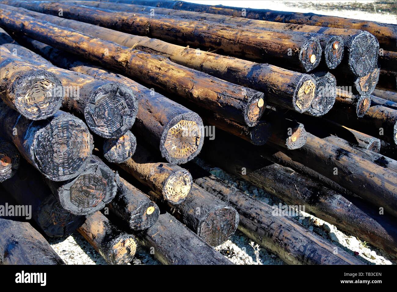 Mit Kreosot behandeltes Holz, das als utility Pole verwendet. Diese Behandlung schützt das Holz von den Elementen und Schädlinge wie Termiten. Stockfoto