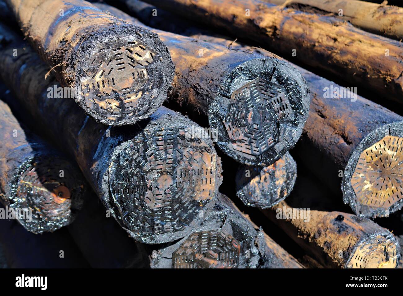 Mit Kreosot behandeltes Holz, das als utility Pole verwendet. Diese Behandlung die Polen von den Elementen und von Schädlingen wie Termiten zu schützen. Stockfoto