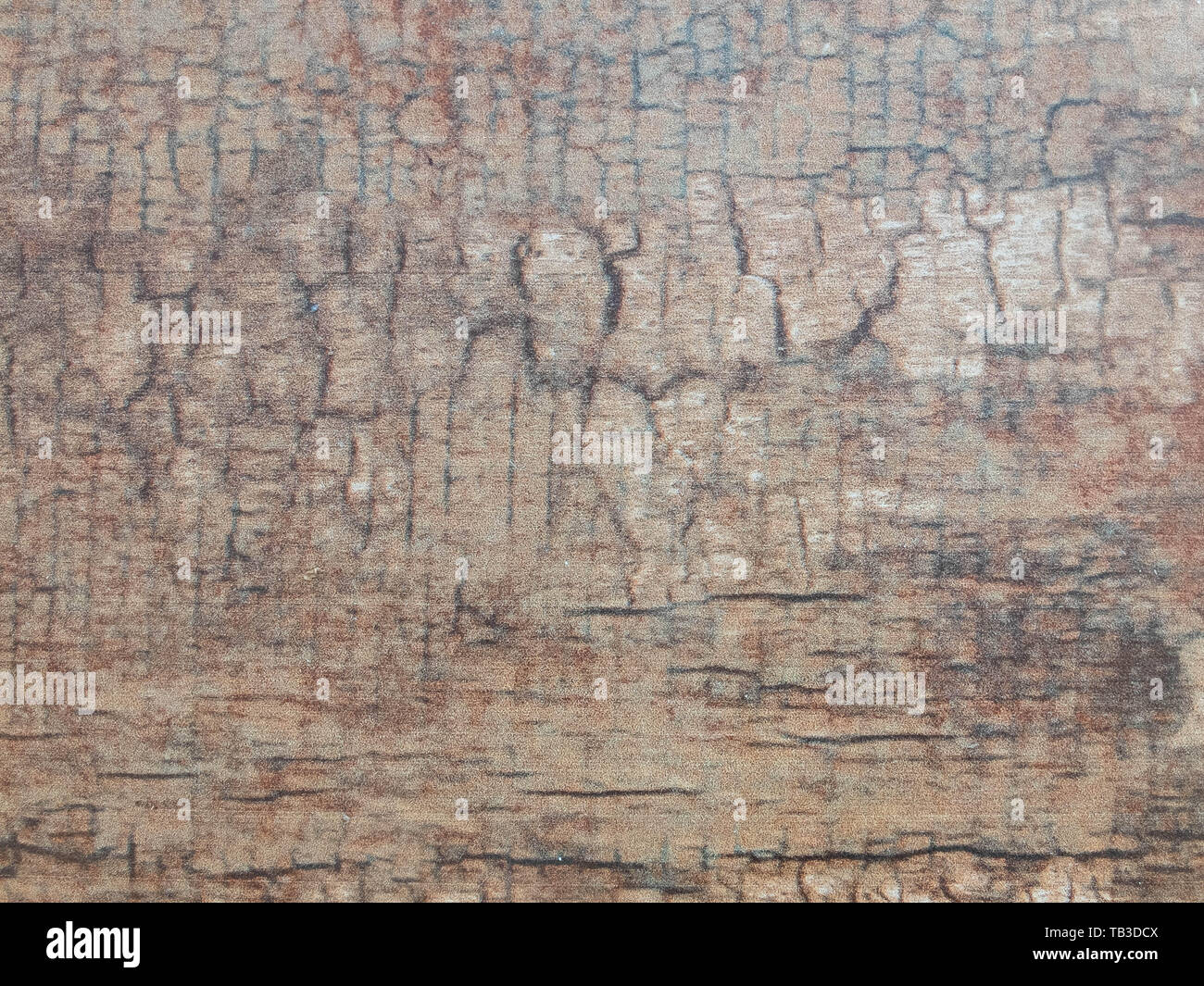Alte verwitterte Oberfläche von Holz mit Rissen. Hintergrund Textur Konzept. Stockfoto
