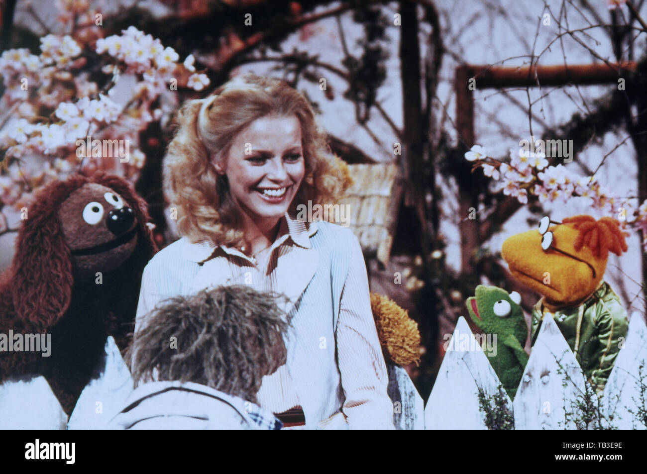 Der Muppet Show, Fernsehserie, USA/Großbritannien 1976 - 1981, Comedyshow mit Puppen und Gaststar Cheryl Ladd Stockfoto