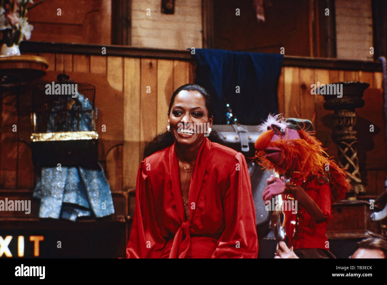 Der Muppet Show, Fernsehserie, USA/Großbritannien 1976 - 1981, Comedyshow mit Puppen und Gaststar Diana Ross Stockfoto
