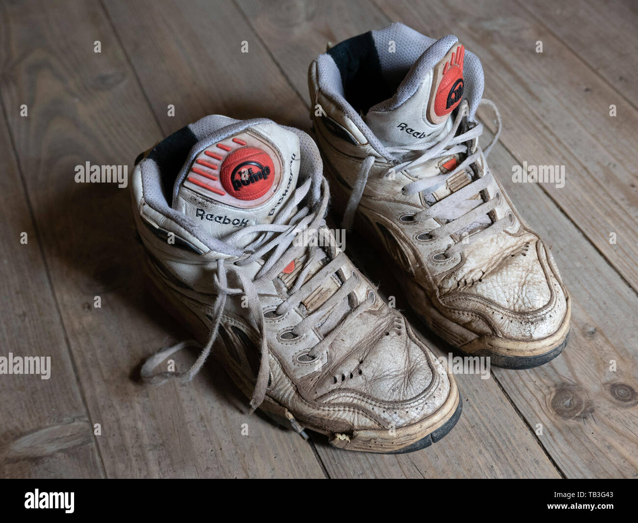 Reebok pump basket sale