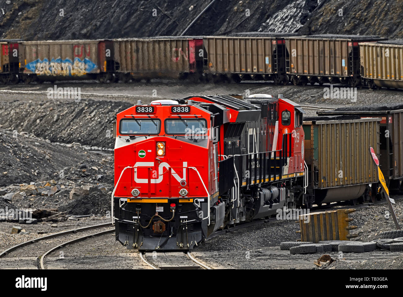 Ein Canadian National Railway Güterzug Steinkohle zu Kohle in den Ausläufern der Rocky Mountains von Alberta Kanada laden Stockfoto