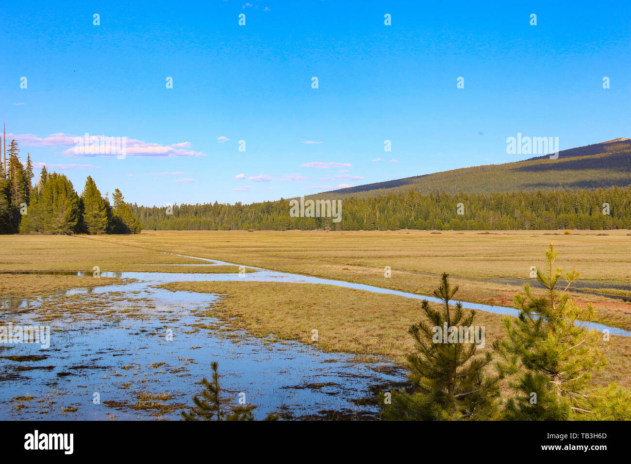 Rogue River Valley und Kaskaden, Oregon, USA Stockfoto