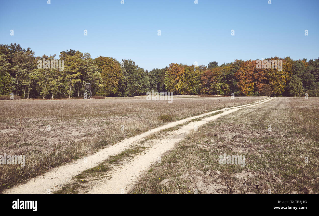 Retro getonten Bild von einem Feldweg in Richtung Wald führt. Stockfoto