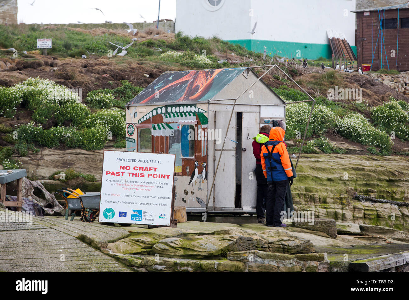 Coquet Insel weg Schlendern auf der Northumberland Küste, ist ein rspb Vogelschutzgebiet und die Heimat von etwa 95% aller die Zucht Roseate Seeschwalben im Britischen I Stockfoto