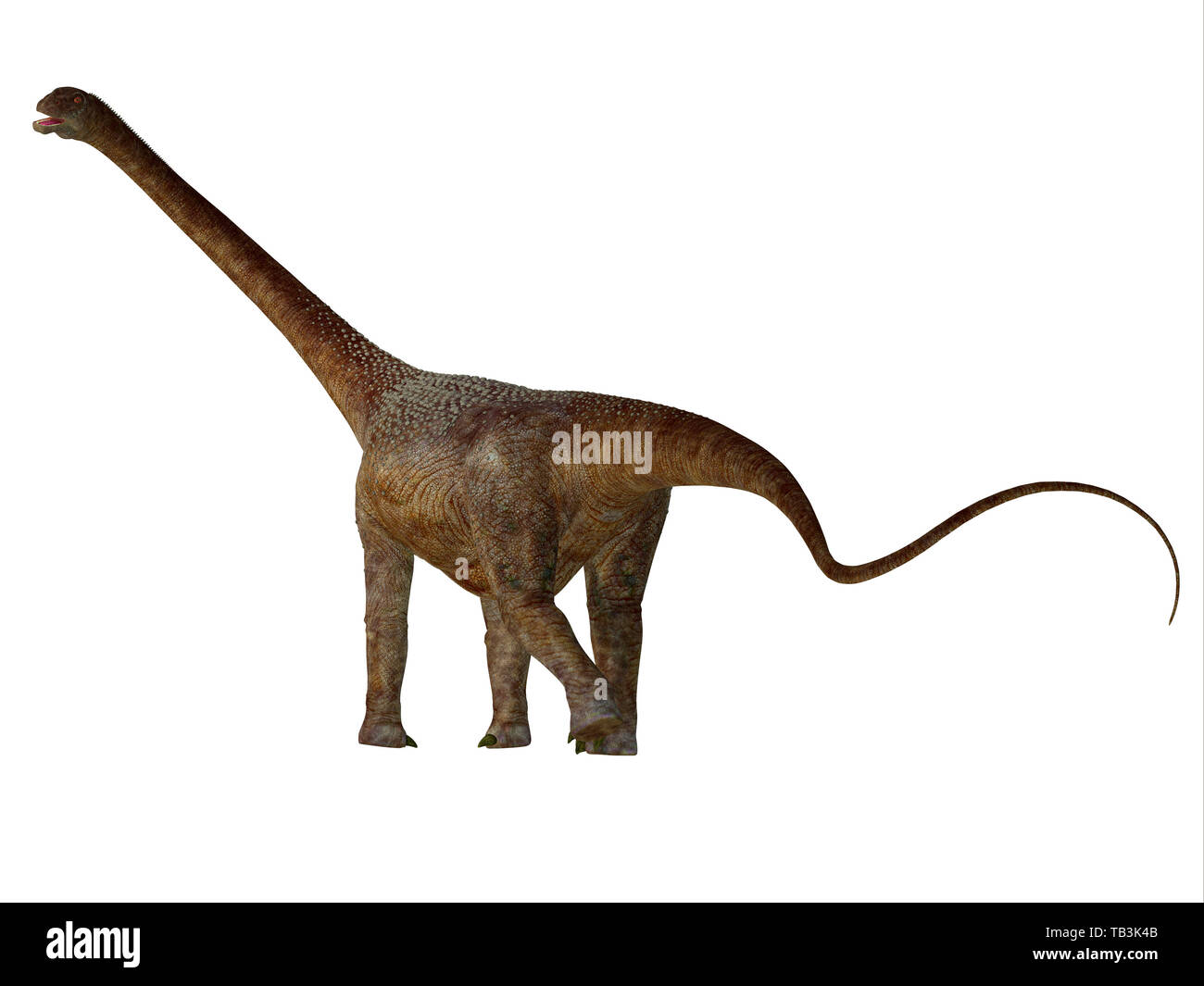 Malawisaurus Dinosaurier Schwanz - Malawisaurus war ein Pflanzenfressenden sauropoden Dinosaurier in der Kreidezeit in Afrika gelebt. Stockfoto