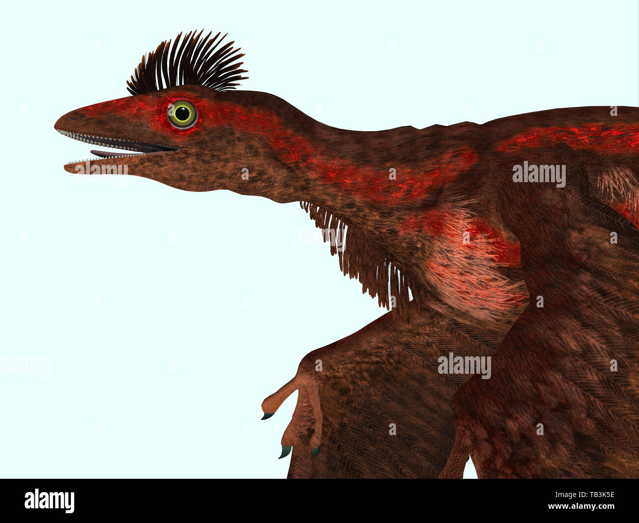 Microraptor dinosaur Fotos und Bildmaterial in hoher Auflösung Alamy