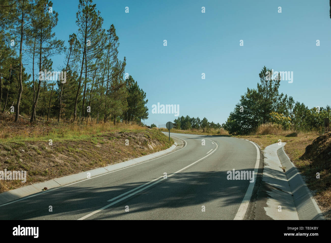 Straße auf der felsigen Landschaft, die durch Bäume und Büsche im Hochland von Serra da Estrela abgedeckt. Das höchste Gebirge auf dem portugiesischen Festland. Stockfoto