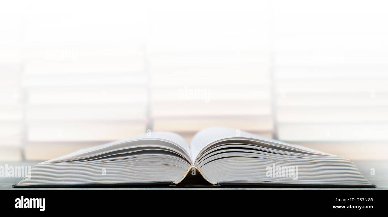 Seiten eines offenen Buches. Symbol von Wissen, Wissenschaft, Studium, Weisheit. Stockfoto