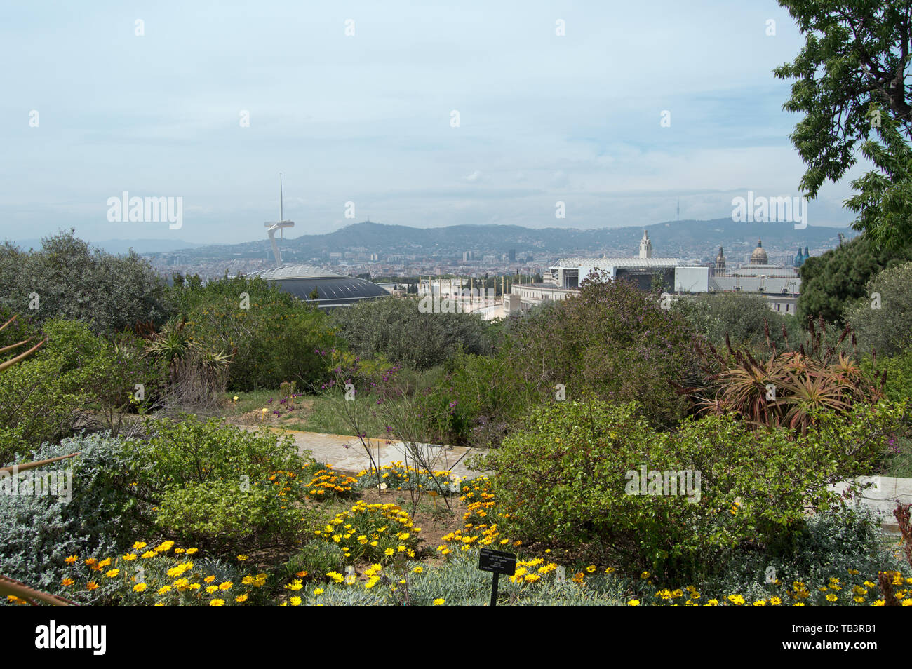 Olympiapark Barcelona vom Botanischen Garten am Berg Montjuic, Barcelona, Spanien Stockfoto