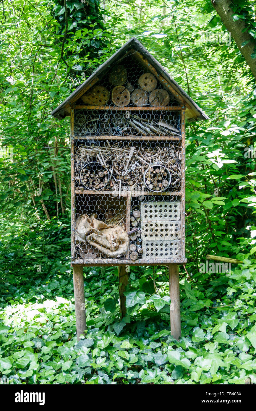 Ein 'Insekt Hotel", ein Lebensraum für Insekten Überwinterung in einem kleinen lokalen Holz, London, UK Stockfoto