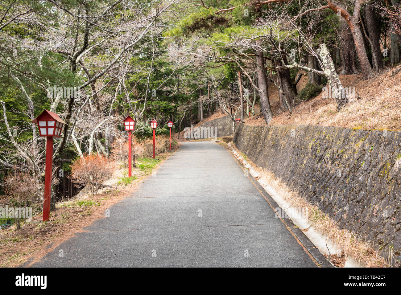 Gerader Strecke mit einem Berg Straße mit traditionellen japanischen Holzlaternen gefüttert Stockfoto