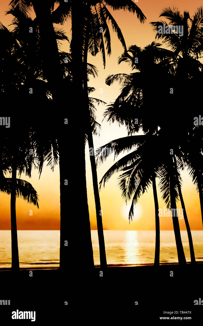 Abbildung: Palmen auf einer tropischen Insel gegen eine orange sky und der untergehenden Sonne Silhouette Stockfoto