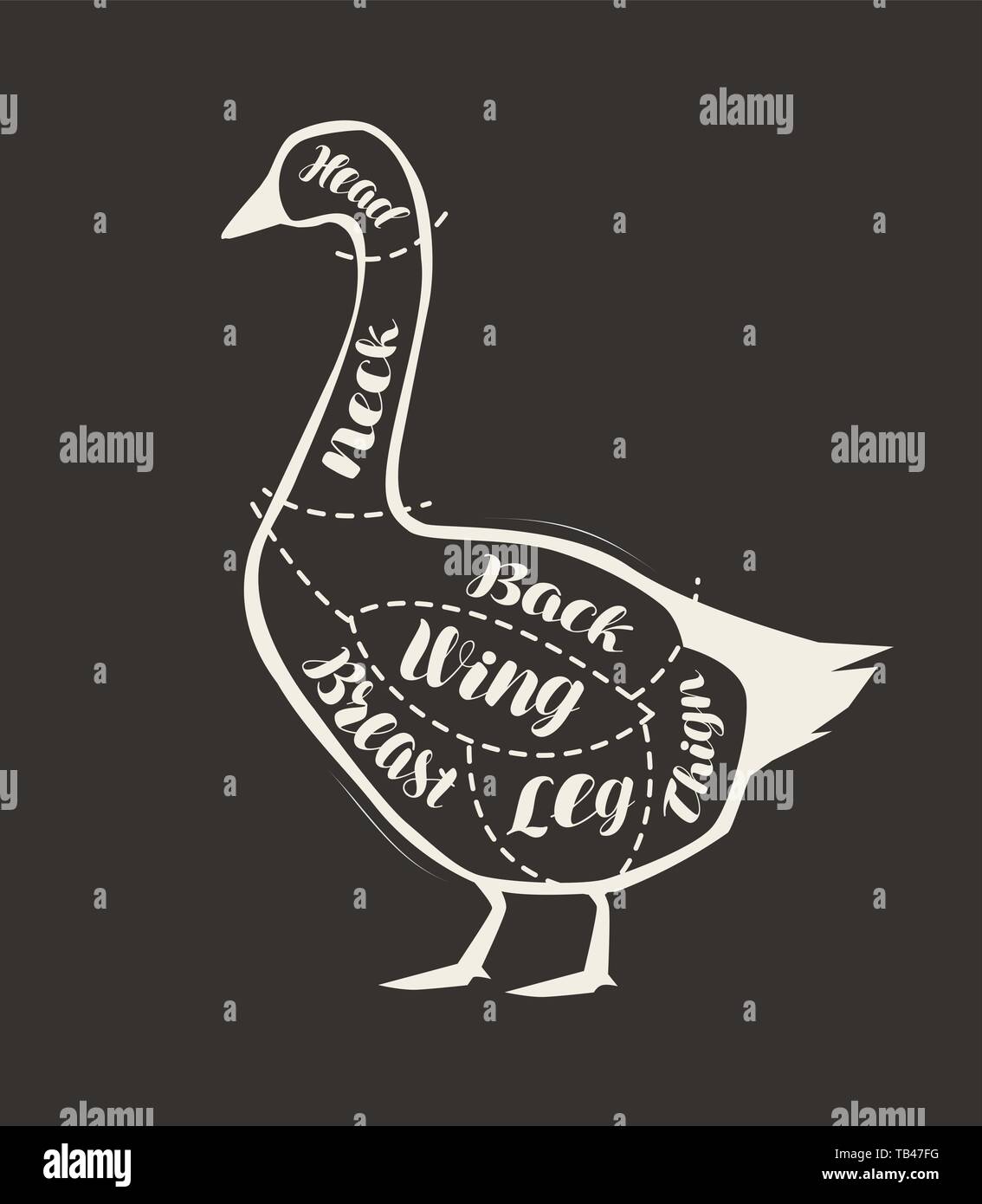 Schneiden von Goose Fleisch an die Tafel gezeichnet. Menü für Restaurant oder Metzgerei. Vector Illustration Stock Vektor