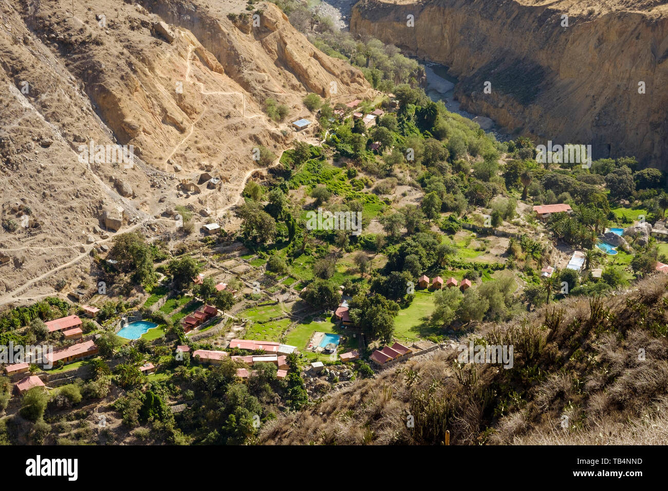 Oasis oder Park Sangalle im Colca Canyon, Cabanaconde Bezirk, Peru Stockfoto