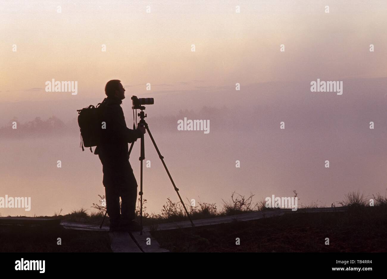 Morgennebel über ein Moor Stockfoto
