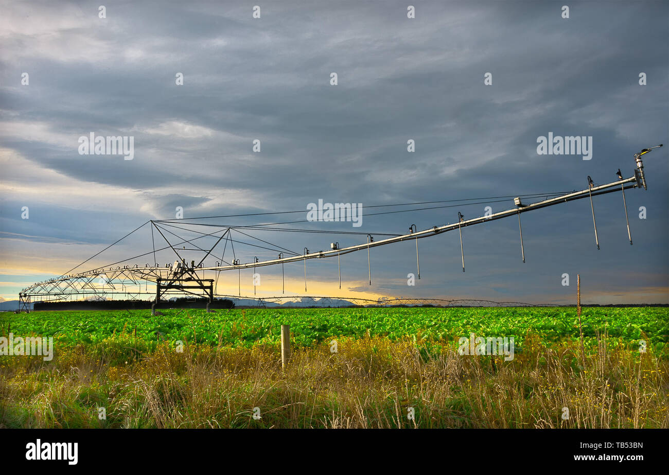 Automatisierte Bewässerung Sprinkler System auf Ackerland bei Sonnenaufgang in Neuseeland. Stockfoto