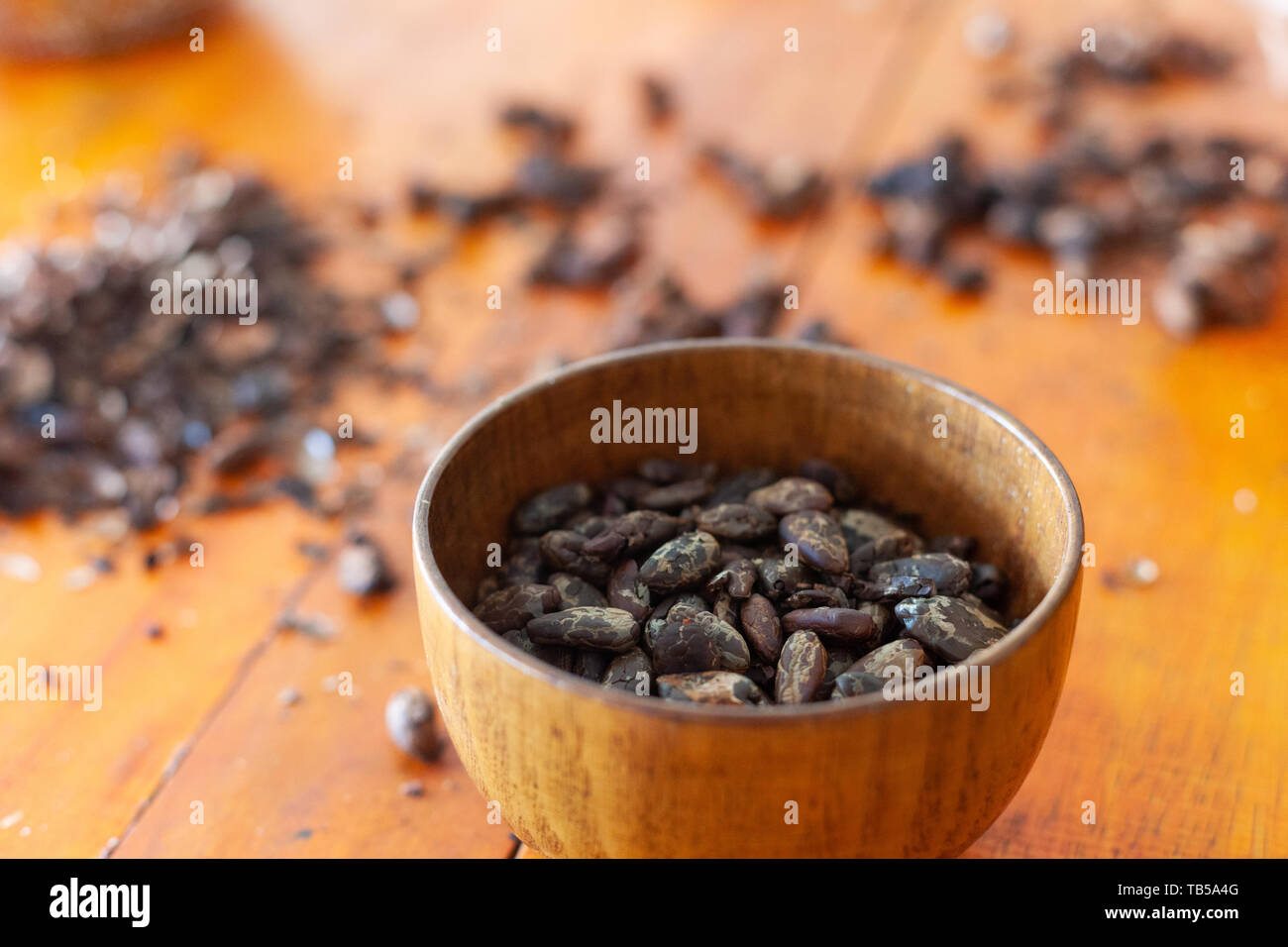 Rissbildung und deshelling geröstete Kakao (Theobroma cacao) Bohnen von Hand (WORFELN) Stockfoto