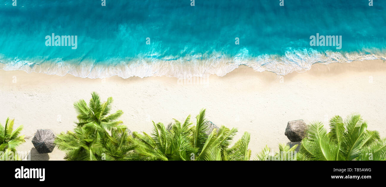 Antenne Draufsicht auf Sand Strand, Palmen und Meer Stockfoto
