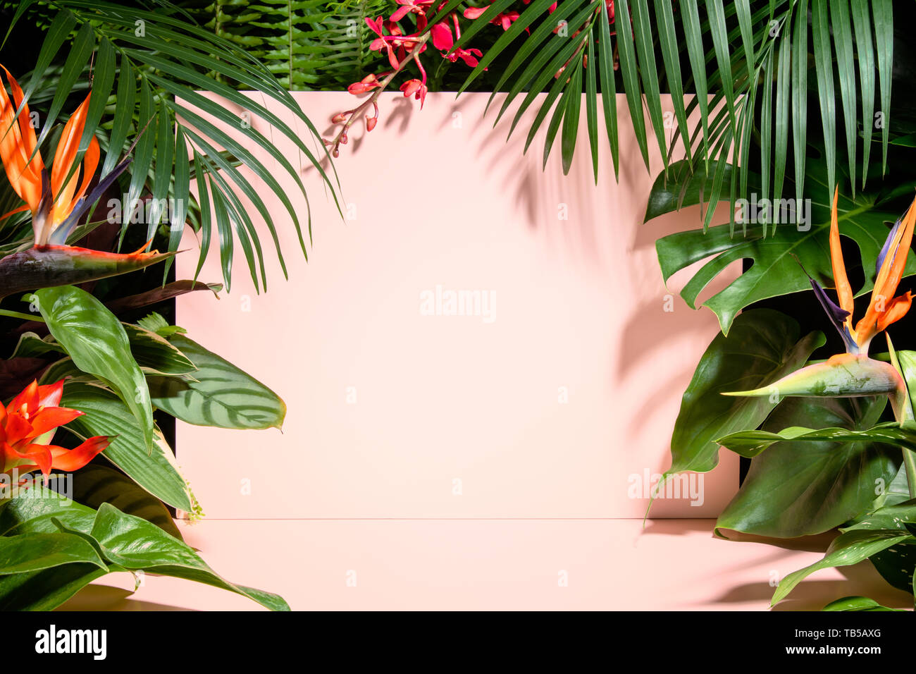 Trendy tropische Blätter und Blumen auf rosa Hintergrund Stockfoto