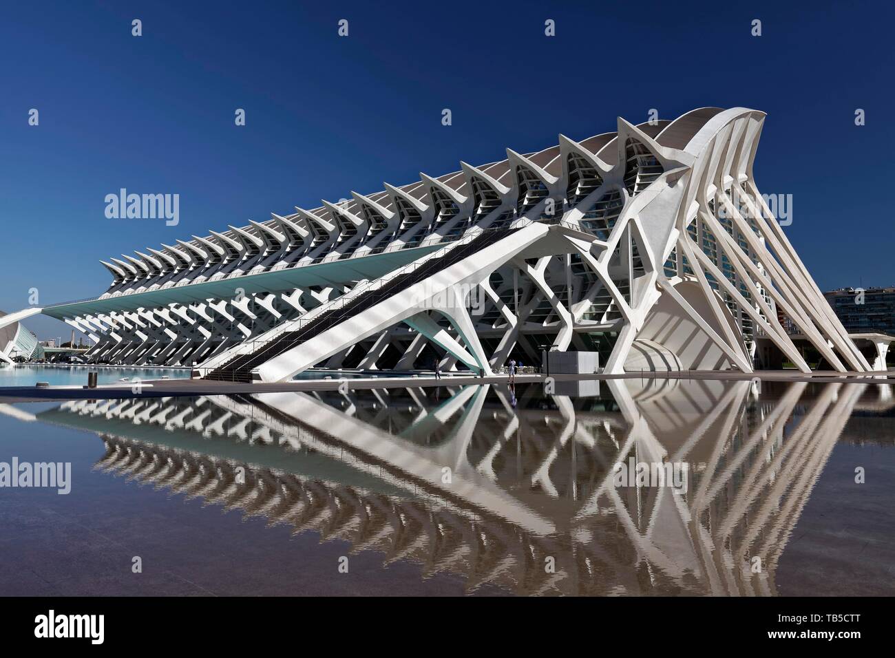 Museum der Wissenschaft, das Museu de les Ciences, CAC, Architekten Santiago Calatrava, Ciudad de las Artes y de las Ciencias, Valencia, Spanien Stockfoto