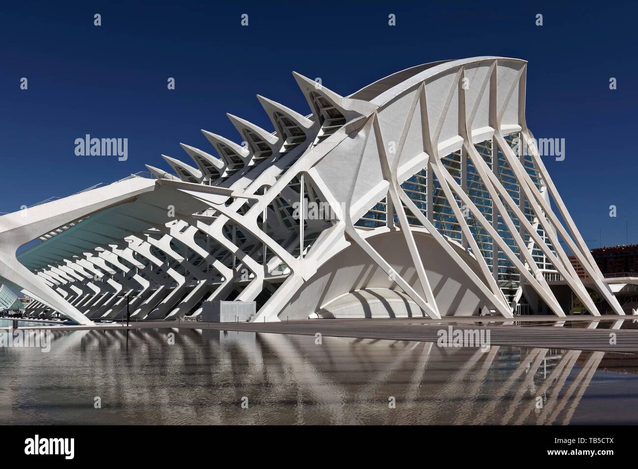 Museum der Wissenschaft, das Museu de les Ciences, CAC, Architekten Santiago Calatrava, Ciudad de las Artes y de las Ciencias, Valencia, Spanien Stockfoto