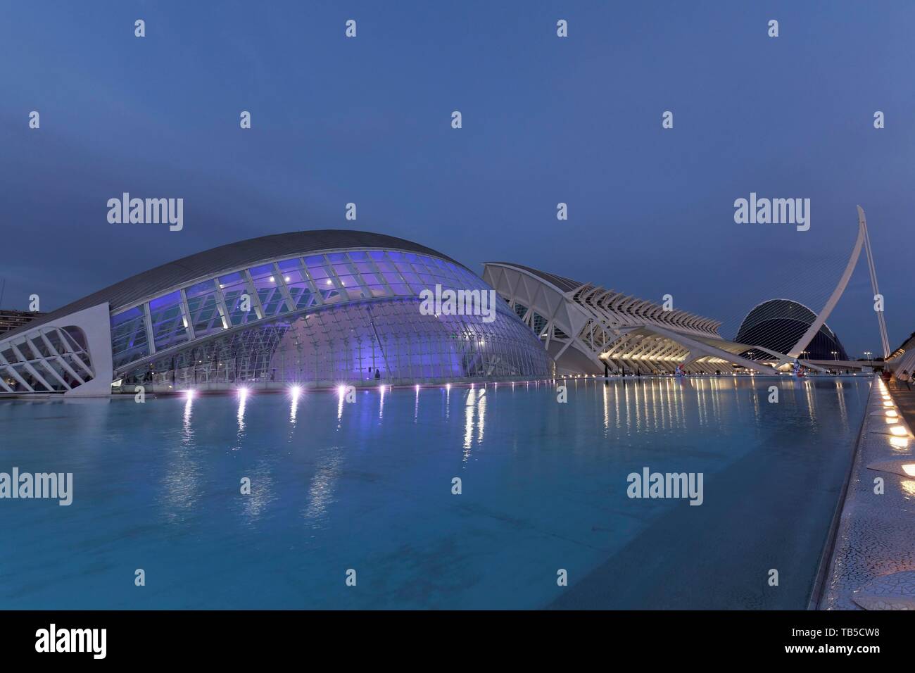 MAX cinema L'Hemisferic und das Science Museum, das Museu de les Ciencies Príncipe Felipe, Blaue Stunde, CAC, Ciutat de les Arts i les Ciencies, Architekt Stockfoto