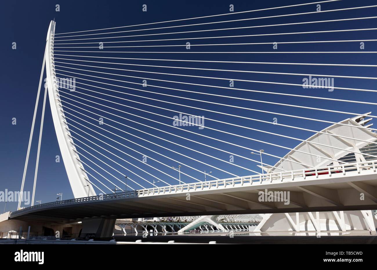 Harfenförmige Schrägseilbrücke, Pont de L'Assut de l' oder der Architekt Santiago Calatrava, CAC, Ciutat de les Arts i les Ciencies, Valencia, Spanien Stockfoto