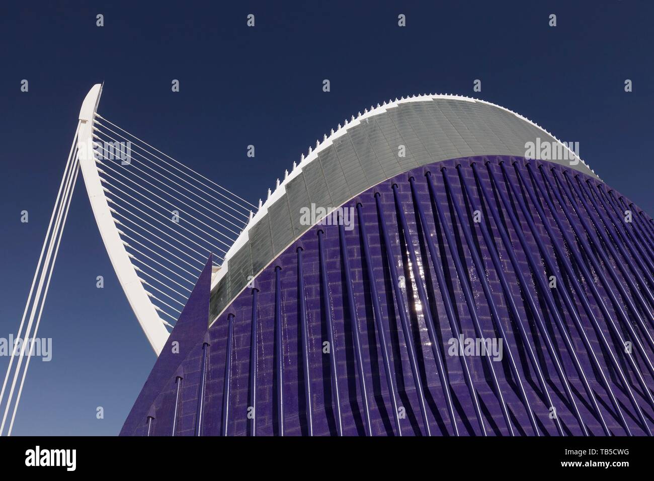 Agora, multifunktionale Halle mit blauen Trencadi Fassade, Schrägseilbrücke Pont de L'Assut de l' oder der Architekt Santiago Calatrava, CAC, Ciutat de Stockfoto