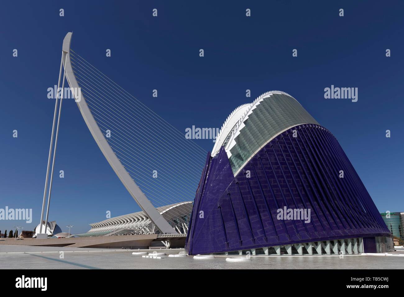 Agora, multifunktionale Halle mit blauen Trencadi Fassade, Schrägseilbrücke Pont de L'Assut de l' oder der Architekt Santiago Calatrava, CAC, Ciutat de Stockfoto