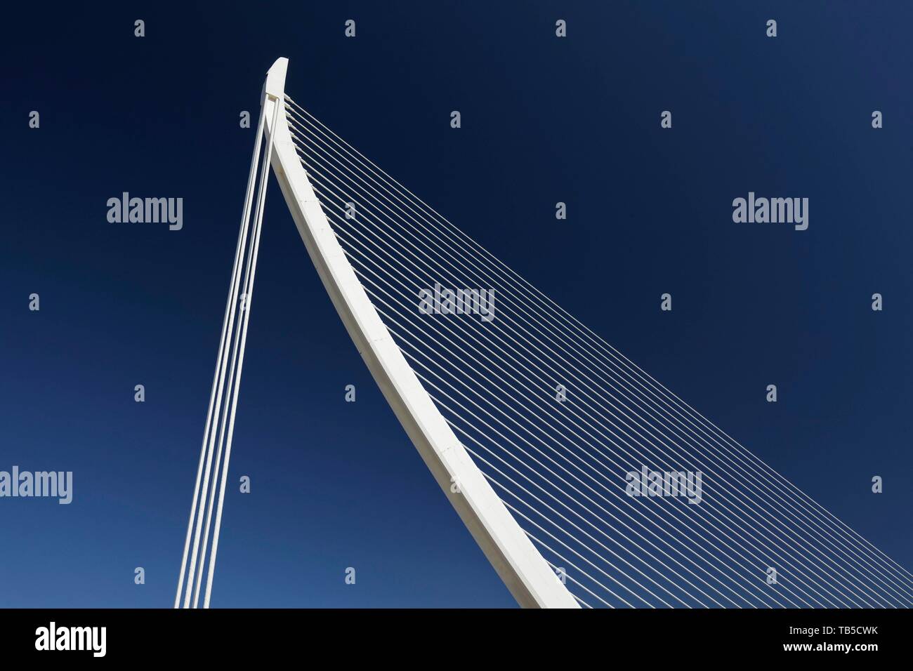 Harfenförmige Schrägseilbrücke, Pont de L'Assut de l' oder der Architekt Santiago Calatrava, CAC, Ciutat de les Arts i les Ciencies, Valencia, Spanien Stockfoto