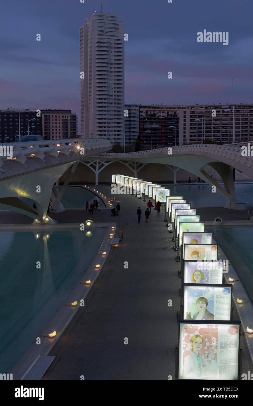 Galerie mit Naturwissenschaftlern, beleuchtete Panels an der Pont de Montolivet, Dämmerung, CAC, Ciutat des Arts ich les Ciencies Architekt Santiago Stockfoto