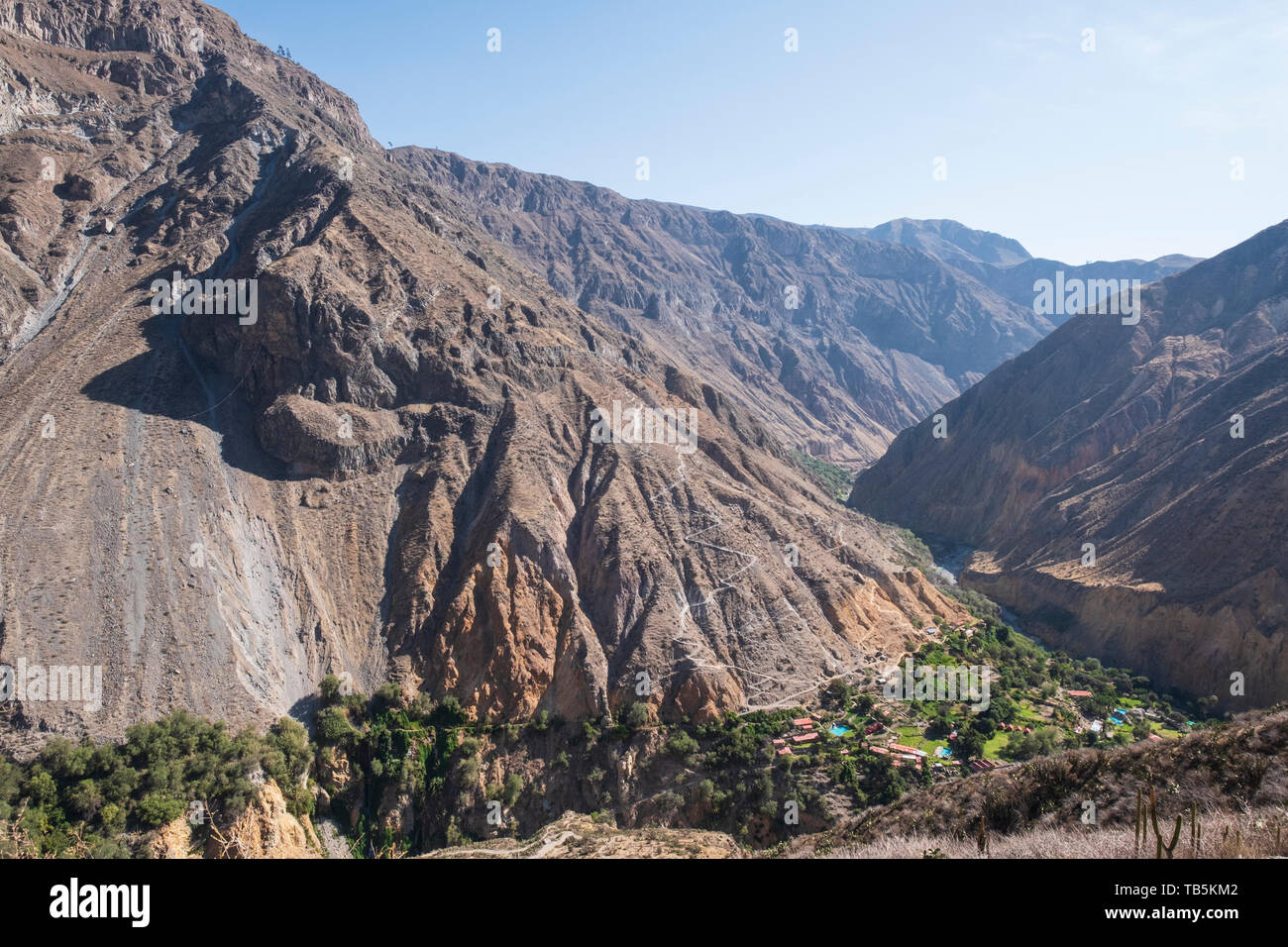 Oasis oder Park Sangalle im Colca Canyon, Cabanaconde Bezirk, Peru Stockfoto