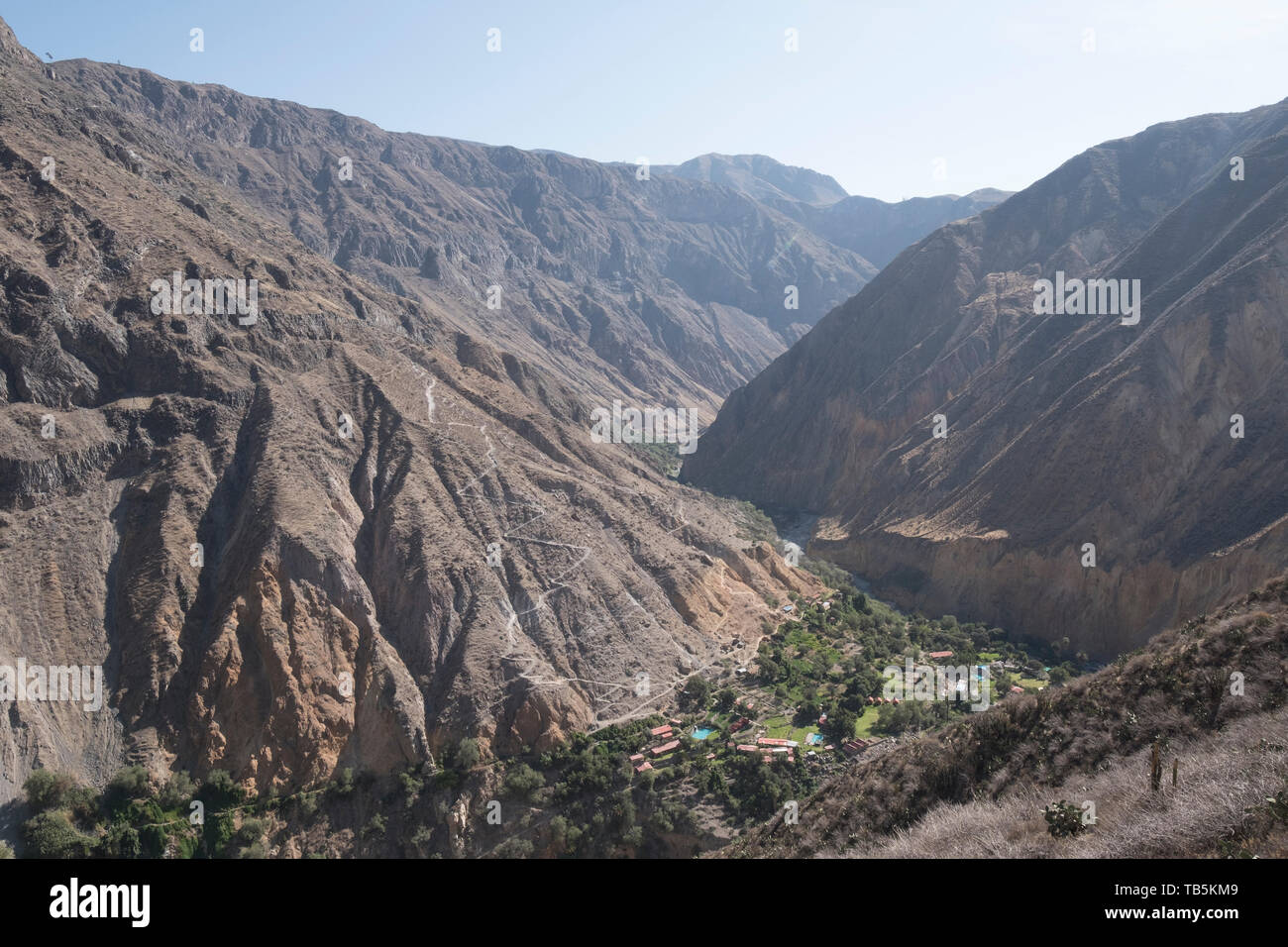 Oasis oder Park Sangalle im Colca Canyon, Cabanaconde Bezirk, Peru Stockfoto