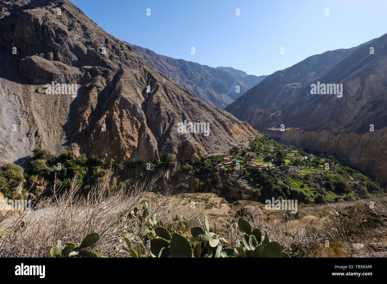 Oasis oder Park Sangalle im Colca Canyon, Cabanaconde Bezirk, Peru Stockfoto