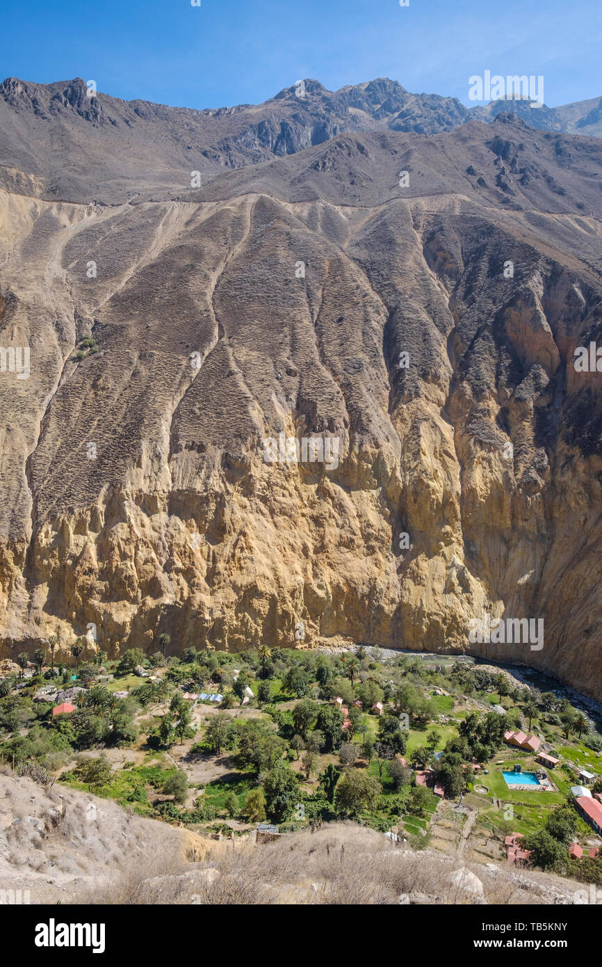 Oasis oder Park Sangalle im Colca Canyon, Cabanaconde Bezirk, Peru Stockfoto