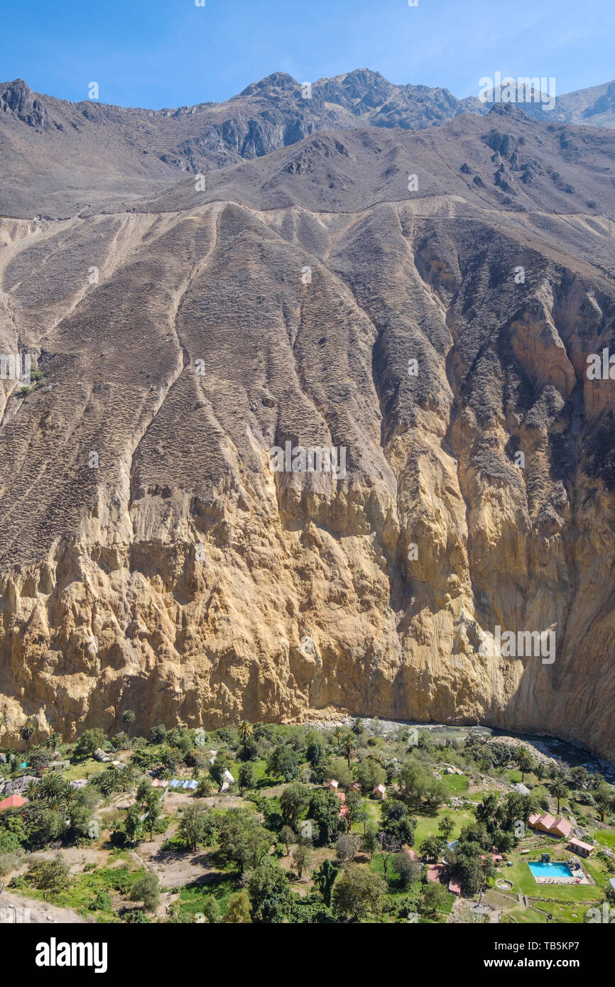 Oasis oder Park Sangalle im Colca Canyon, Cabanaconde Bezirk, Peru Stockfoto
