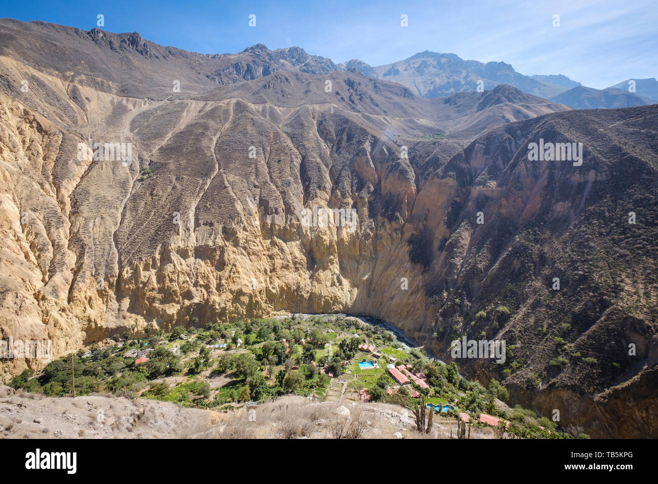 Oasis oder Park Sangalle im Colca Canyon, Cabanaconde Bezirk, Peru Stockfoto