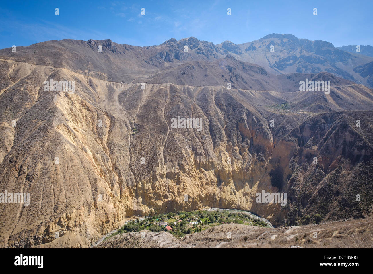 Oasis oder Park Sangalle im Colca Canyon, Cabanaconde Bezirk, Peru Stockfoto