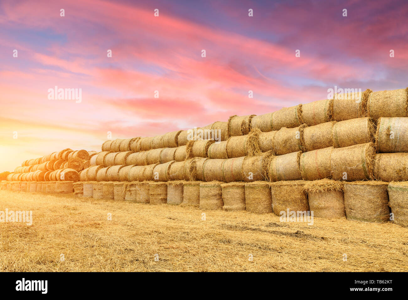 Runde Strohballen Heuballen auf Ackerland bei Sonnenuntergang Stockfoto