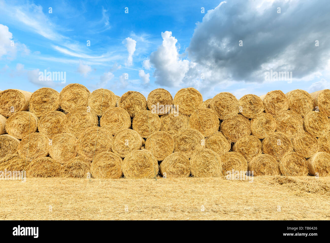 Strohballen auf Ackerland mit blauen Wolkenhimmel Stockfoto