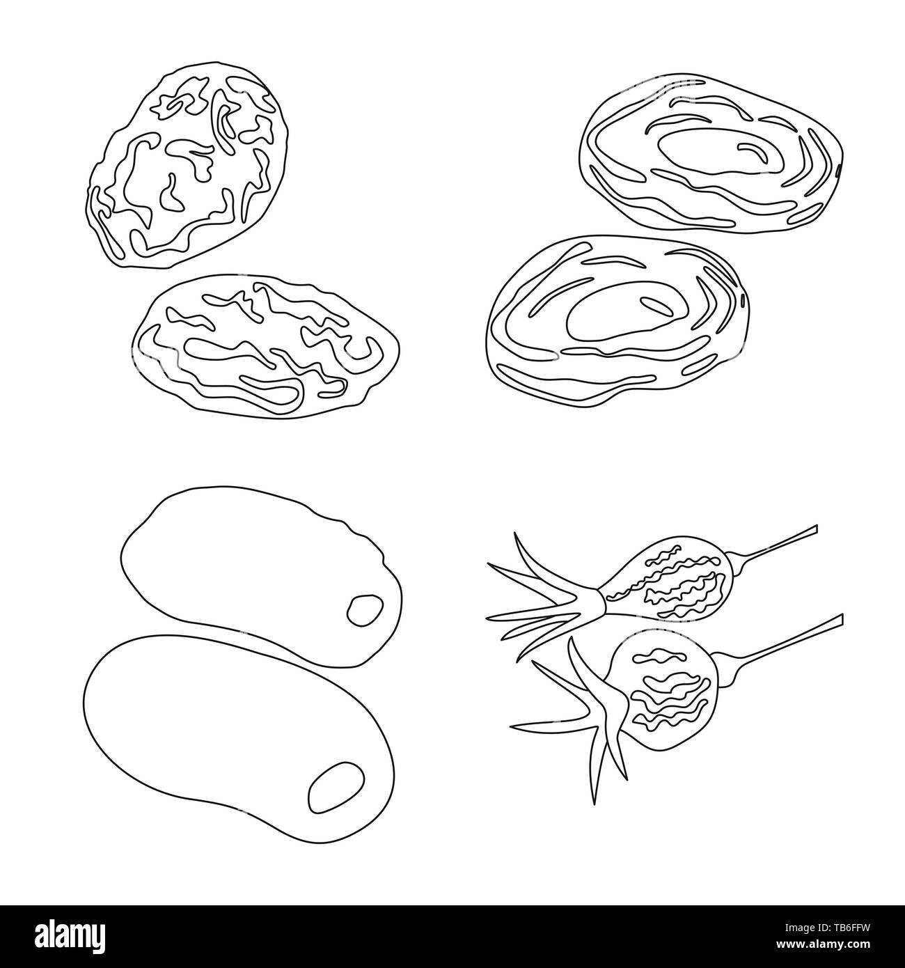 Isoliertes Objekt von Lebensmitteln und Rohstoffen Logo. Sammlung von Ernährung und Natur lieferbar Symbol für das Web. Stock Vektor