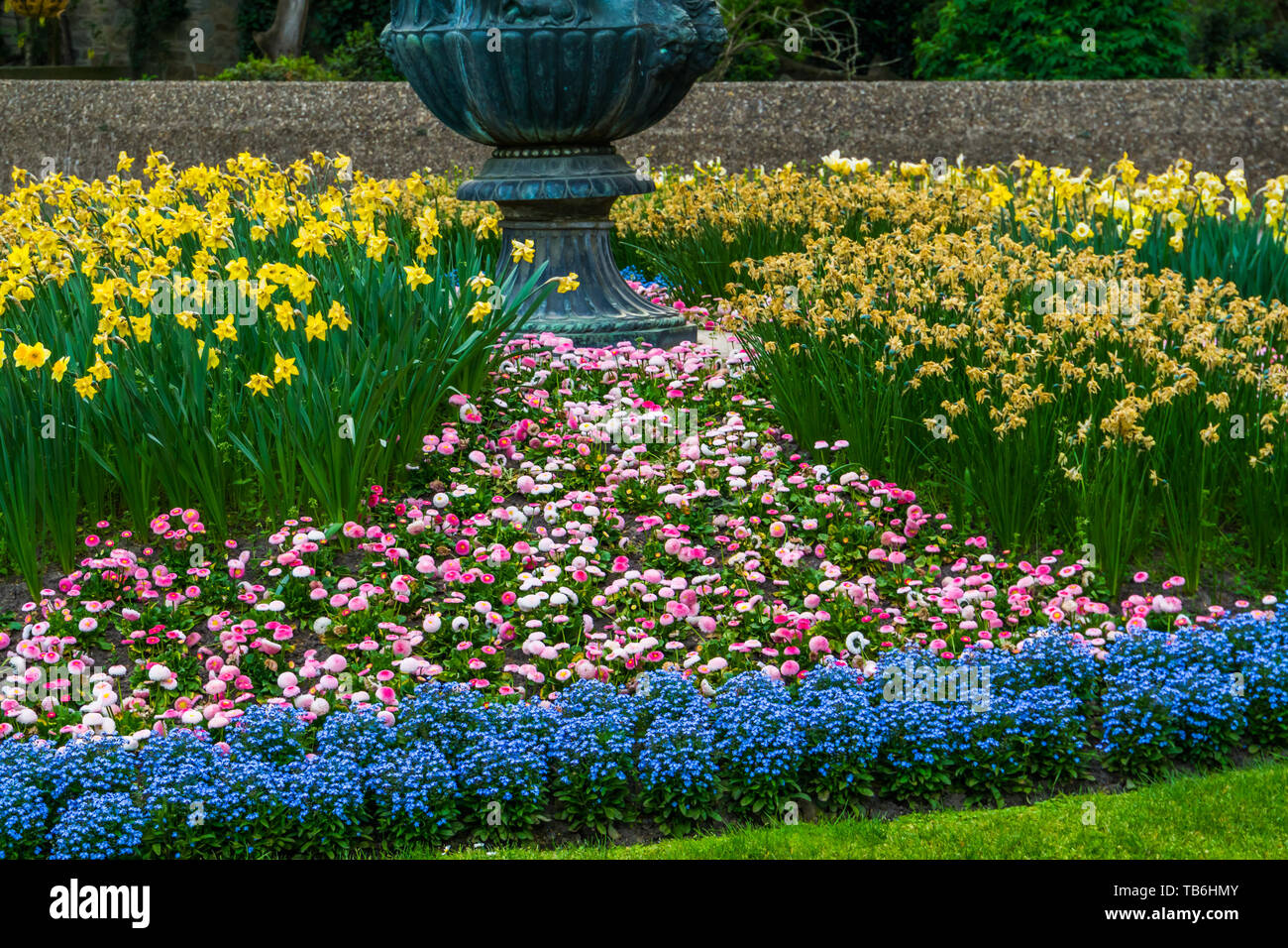 Schönen blühenden Blumen in einem luxuriösen Garten, bunte Blumen im Frühling blühenden, Gärten eingerichtet Stockfoto