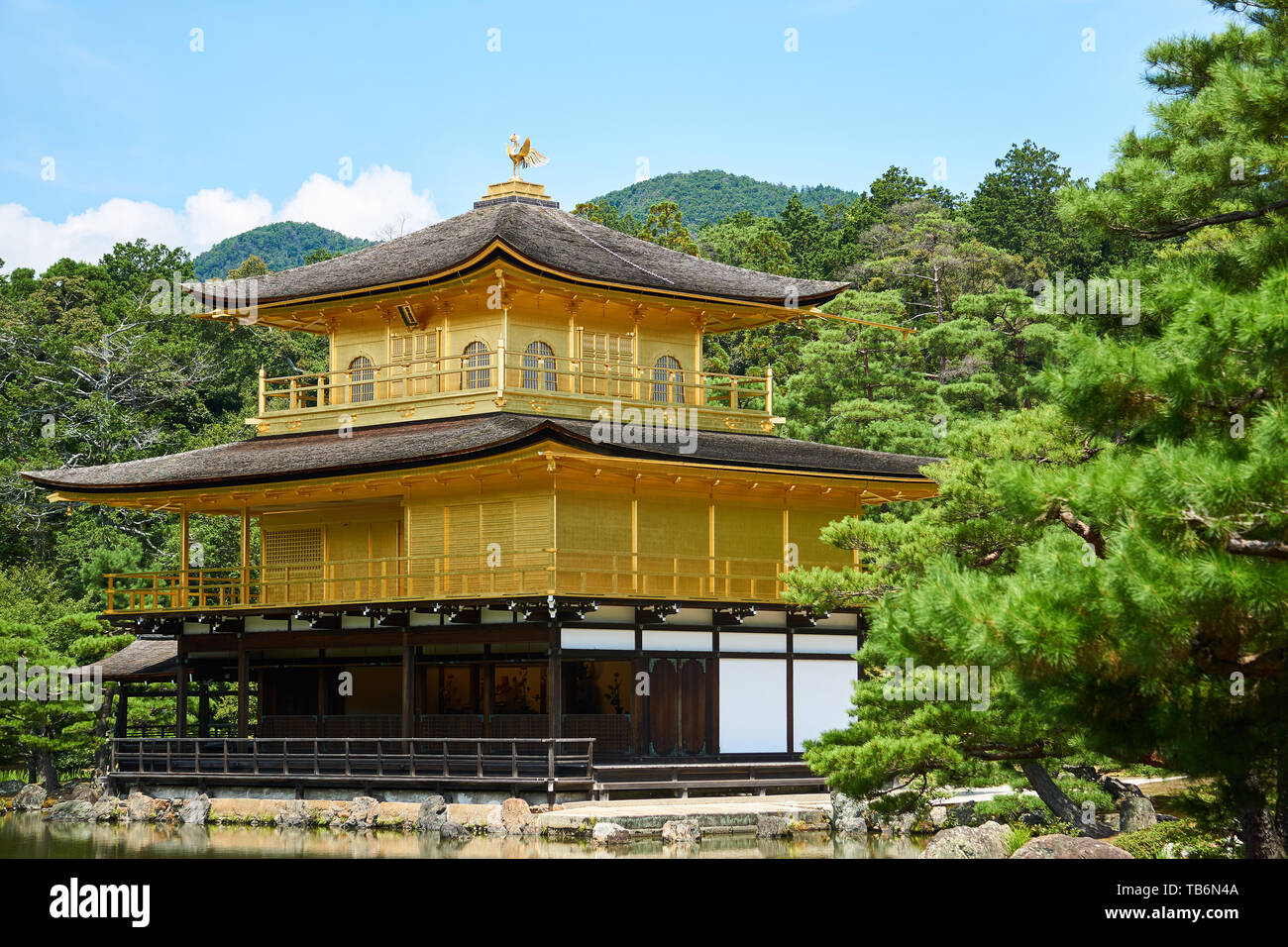 Kinkakuji (goldener Pavillon), der von Bäumen und japanische Landschaft umgeben, an einem klaren, sonnigen Sommertag in Kyoto, Japan. Stockfoto