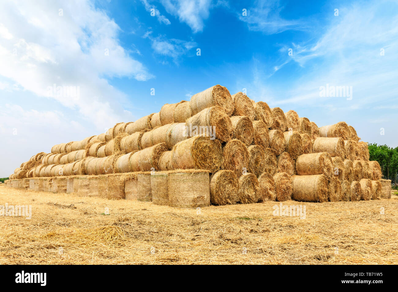 Strohballen auf Ackerland mit blauen Wolkenhimmel Stockfoto