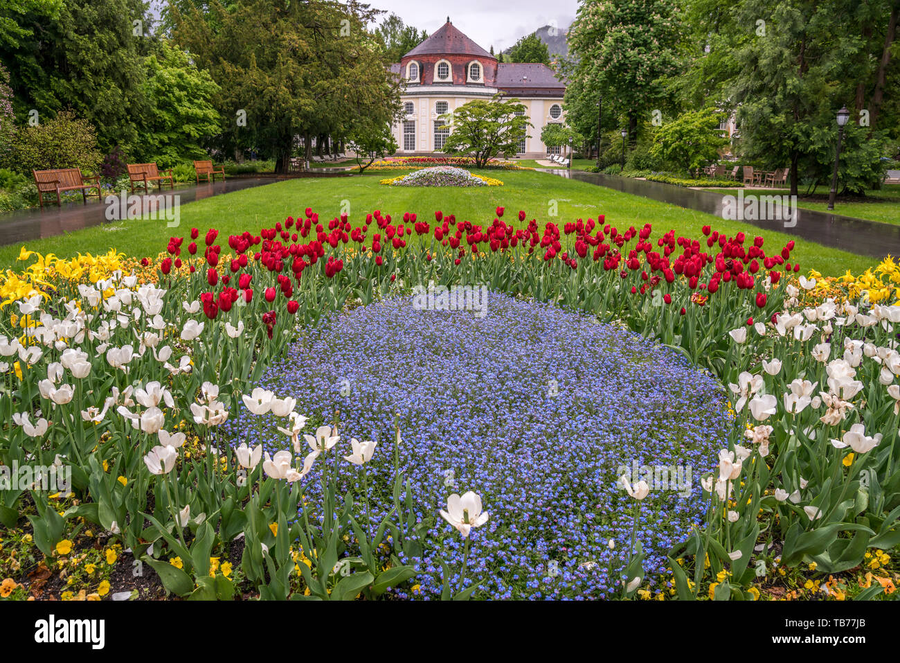 Frühling mit bunten Blumen im königlichen Kurgarten, Bad Reichenhall, Berchtesgadener Land, Oberbayern, Bayern, Deutschland | Frühling Blumen an der Stockfoto